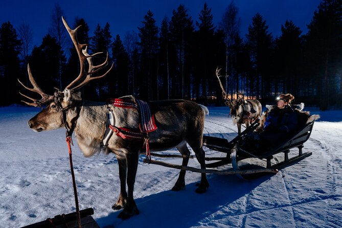 Reindeer Sleigh Ride Across the Night in Apukka Resort Rovaniemi - Getting There Without Stress: Pickup Times and Exact Stops