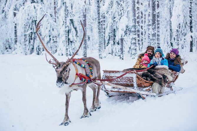 Reindeer Sleigh Ride and Farm Experience from Rovaniemi - What You Actually Get: Farm Time plus a Short Sleigh Loop in the Snow