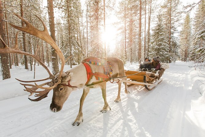 Reindeer Sleigh Ride and Farm Experience from Rovaniemi - Price Check: Is $142.97 Worth It for What You Actually Spend?