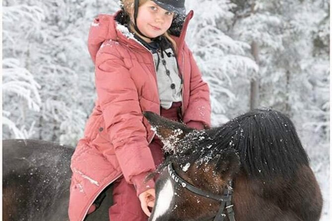 Riding Tour with Finnhorses at Santa Claus Village - Finnhorses near Santa Claus Village, not a fast tourist loop