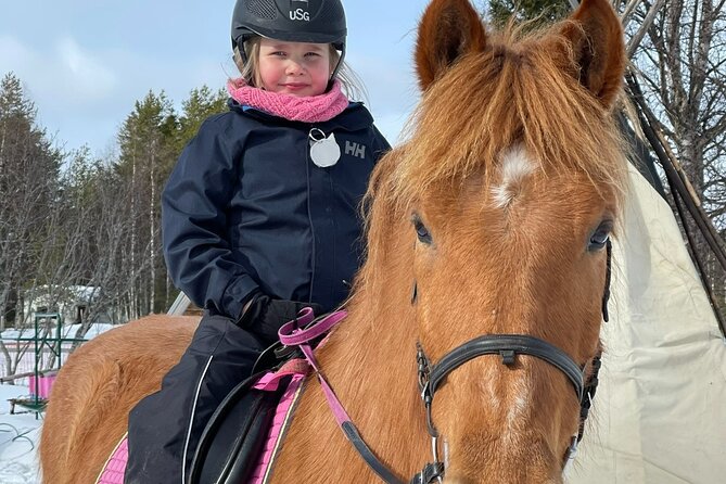 Riding Tour with Finnhorses at Santa Claus Village - Meeting point reality: Aurora Horses is close, but you should plan the walk