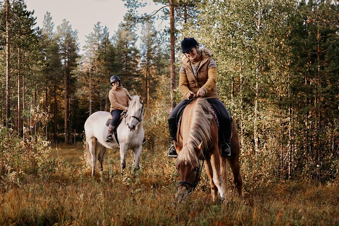 Riding Tour with Finnhorses at Santa Claus Village - What you do on the trek: steady, scenic, and built for comfort