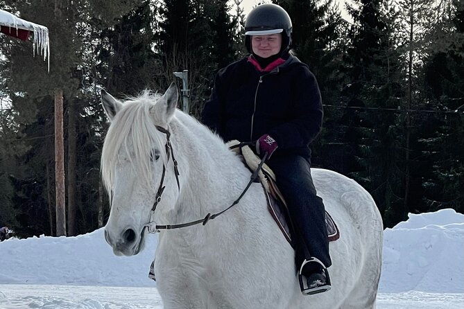 Riding Tour with Finnhorses at Santa Claus Village - The campfire finish: warm drink, cookies, and Finnhorse stories