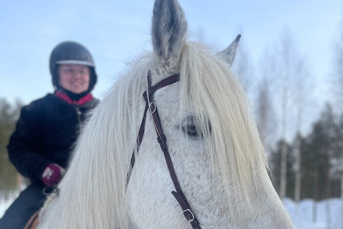 Riding Tour with Finnhorses at Santa Claus Village - The 1-hour flow: from Santa Claus area to the campfire
