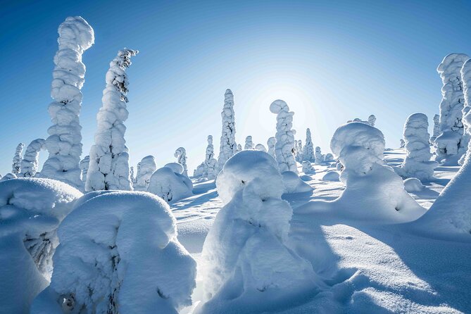 Riisitunturi wilderness adventure - Photo coaching and the final edited set you receive