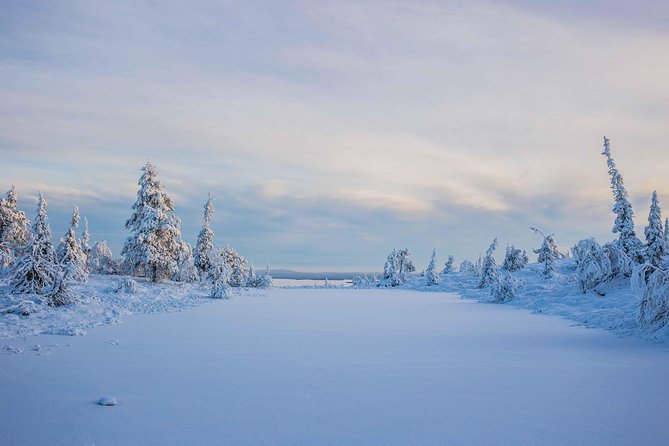 Riisitunturi wilderness adventure - Who this tour is best for (and who might feel it is not their fit)