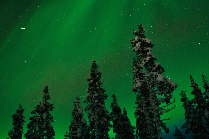 Rovaniemi 2 days Activities Package - Santa Claus Village and crossing the Arctic Circle