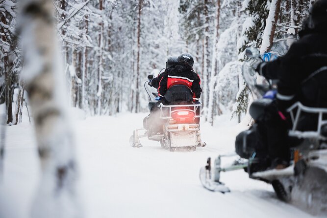 Rovaniemi 2 days Activities Package - Northern Lights quest: how to manage expectations for a 2-hour hunt