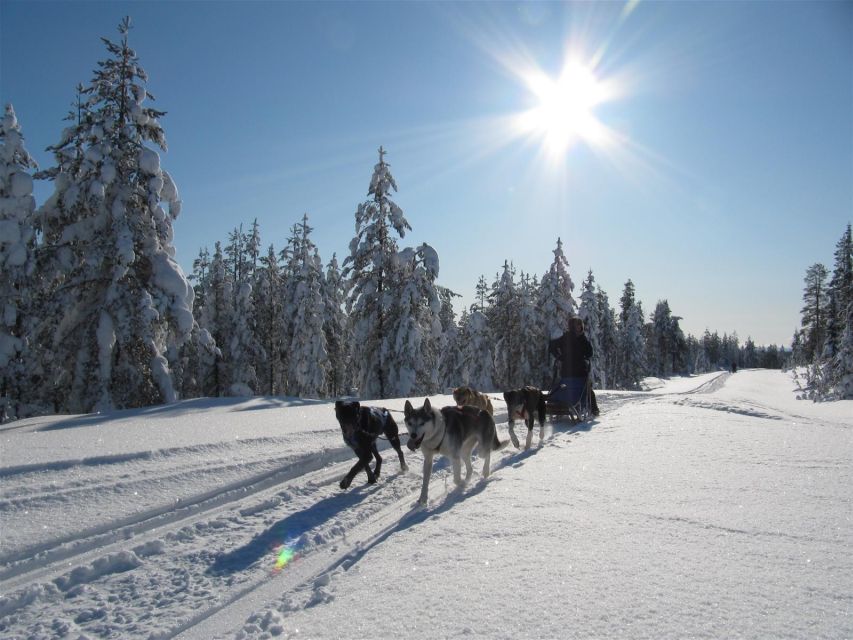 Rovaniemi: Apukka Husky Adventure - Entering Apukka Resort, and what “2 hours” really feels like
