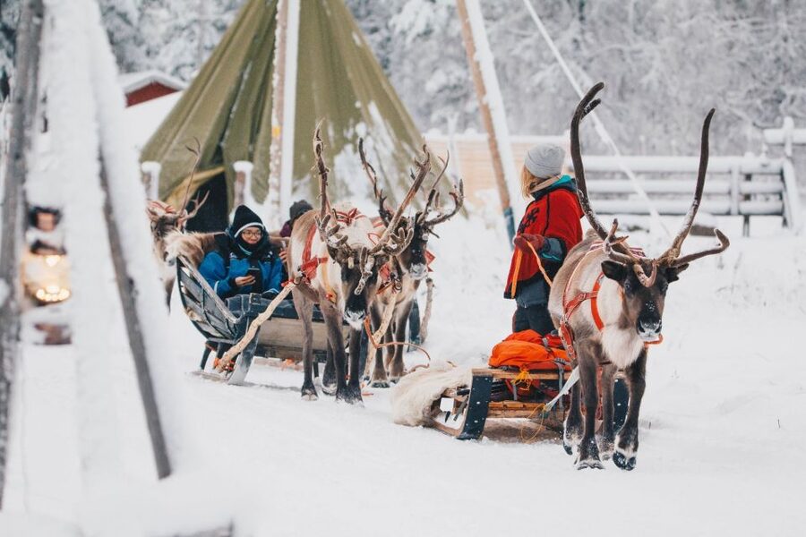 Rovaniemi: Apukka Reindeer Journey - Key things I’d prioritize before you go