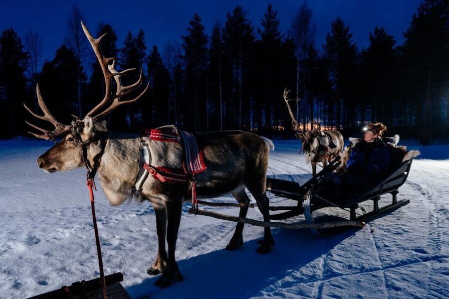 Rovaniemi: Apukka Reindeer Sleigh Ride at Night - Key Highlights You’ll Feel Right Away
