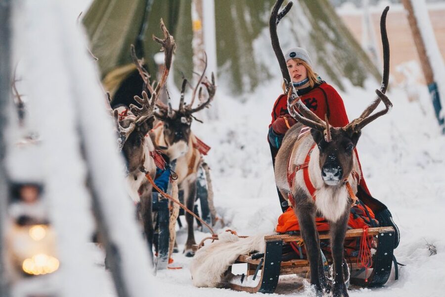 Rovaniemi: Apukka Reindeer Sleigh Ride at Night - Why Apukka’s Night Ride Feels Like Real Lapland