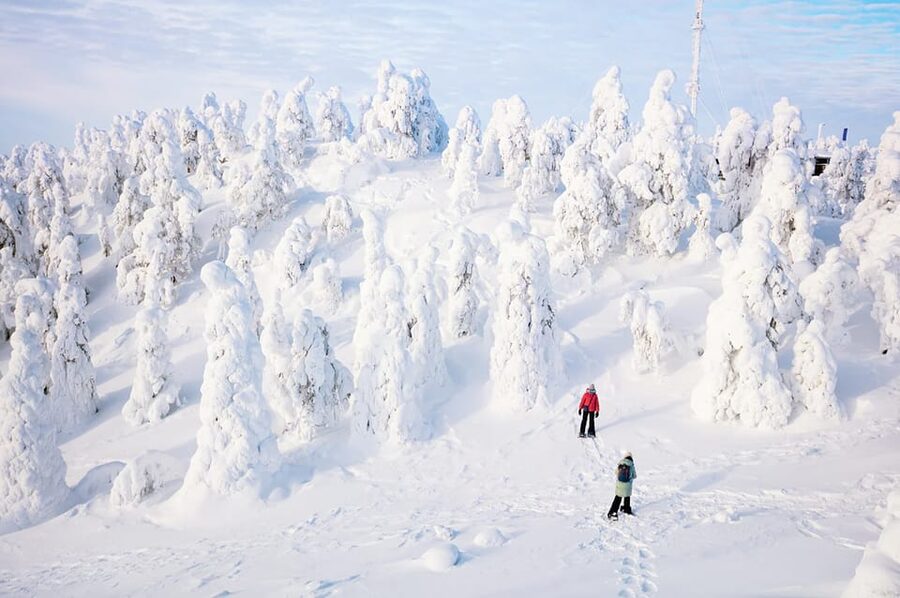 Rovaniemi: Arctic Animals Sleigh Rides and Wildlife Zoo - Price and value: is $340 per person justified?