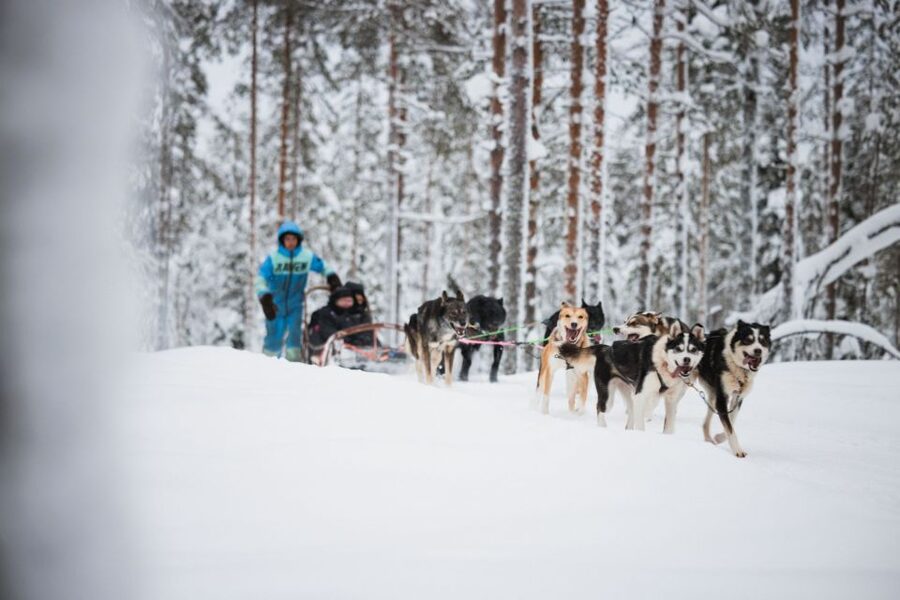 Rovaniemi: Arctic Circle Highlights by Snowmobile - Key highlights I’d prioritize
