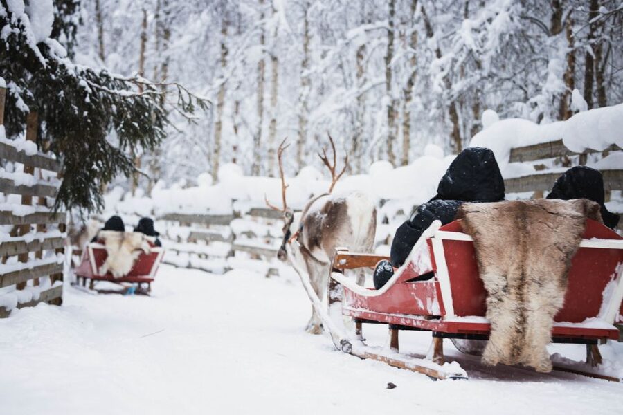 Rovaniemi: Arctic Circle Highlights by Snowmobile - Price and value: about $297 for a full 7-hour day