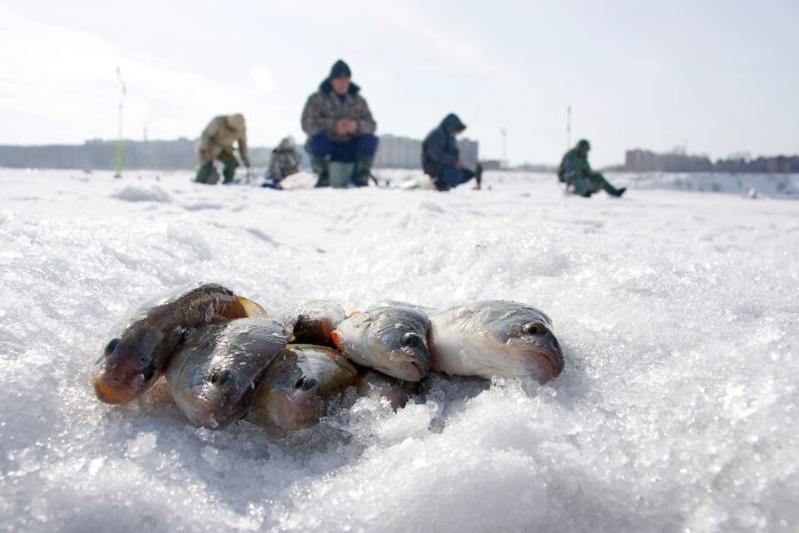 Rovaniemi: Arctic Circle Ice Fishing Experience - Getting onto natural ice: staying safe and staying warm