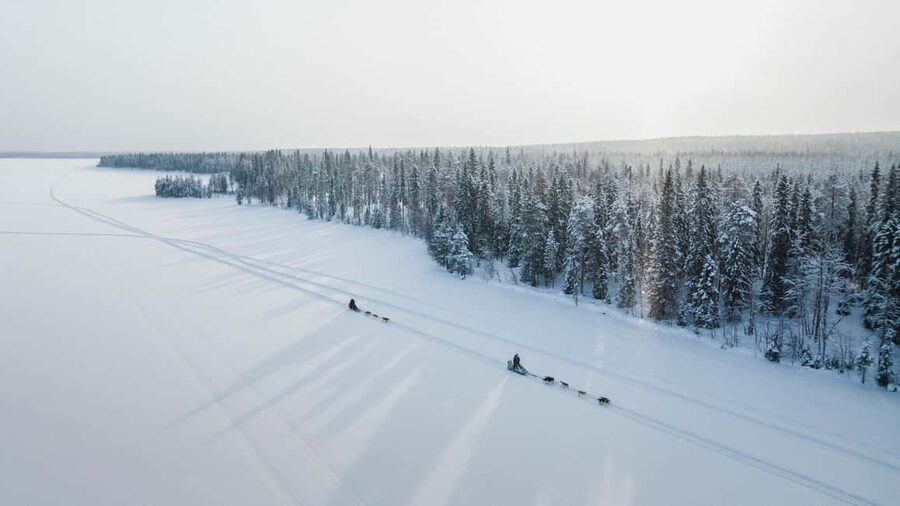 Rovaniemi: Arctic Circle Long Trail Husky Adventure - Rovaniemi Husky Mushing That Feels Hands-On, Not Spectator-Style