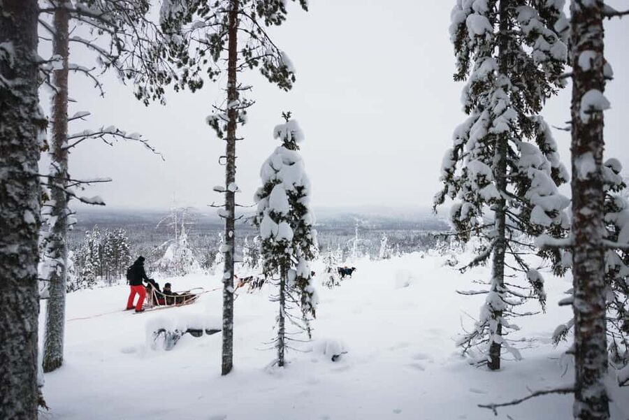 Rovaniemi: Arctic Circle Long Trail Husky Adventure - The Self-Driving Part: How Your Husky Safari Works