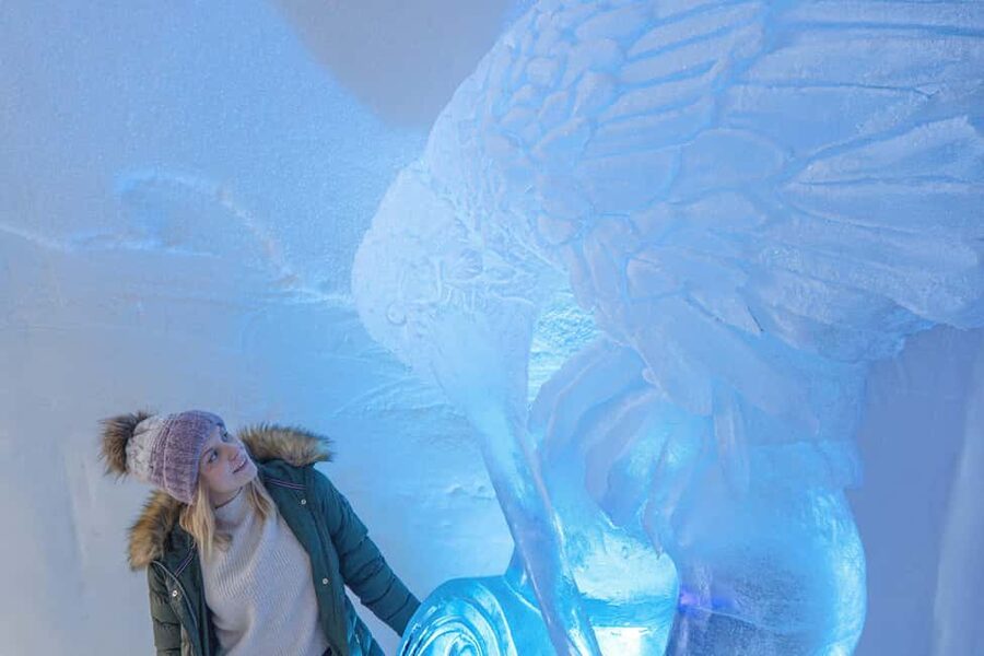 Rovaniemi: Arctic Snow Hotel Tour - Key points before you go