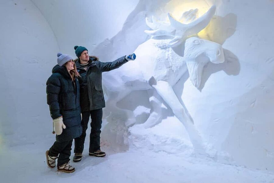 Rovaniemi: Arctic Snow Hotel Tour - Who this Arctic SnowHotel tour suits best