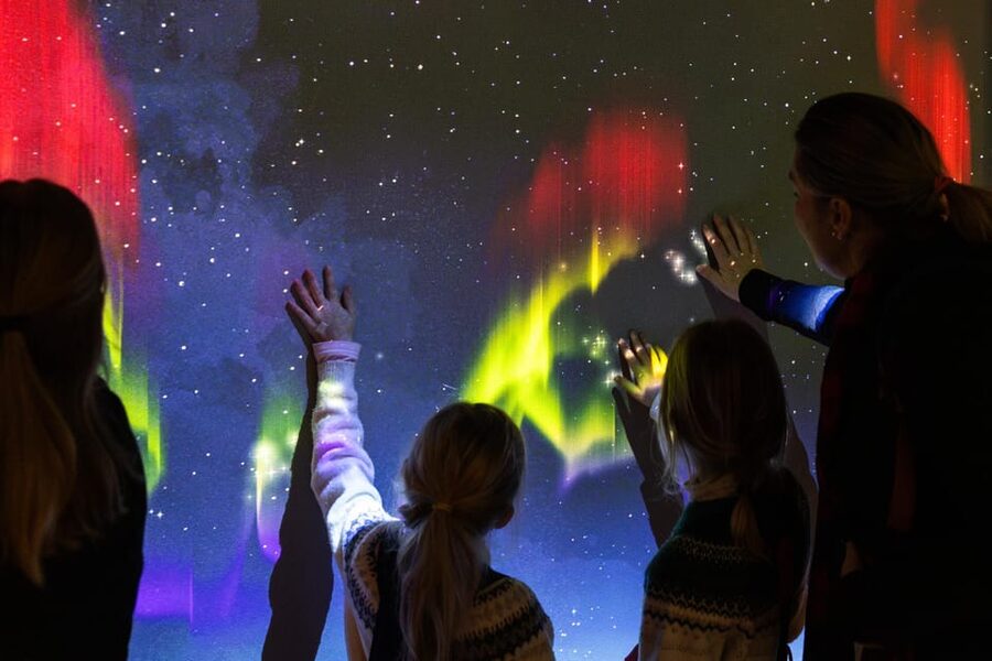 Rovaniemi: Arktikum Science Centre and Museum Entry Ticket - Key points to know before you go