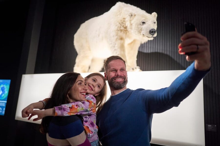 Rovaniemi: Arktikum Science Centre and Museum Entry Ticket - Northern Lights at Arktikum: facts, stories, and an animation you’ll remember