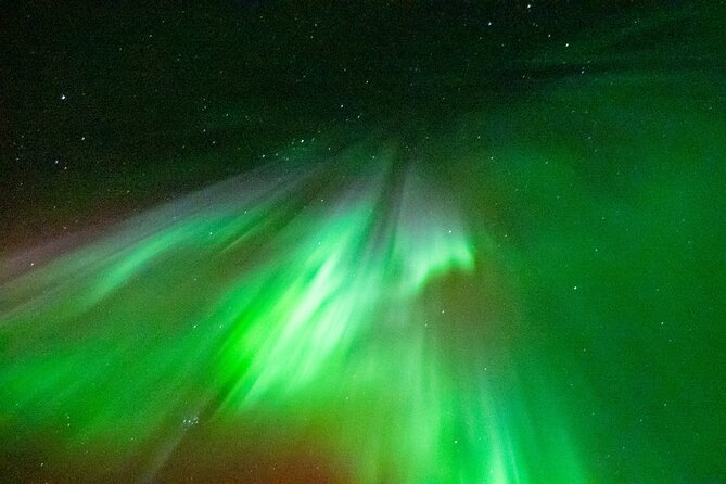 Rovaniemi: Aurora BBQ at the Best Spots - Timing and meeting point, how the night flows from 19:30 to 23:30