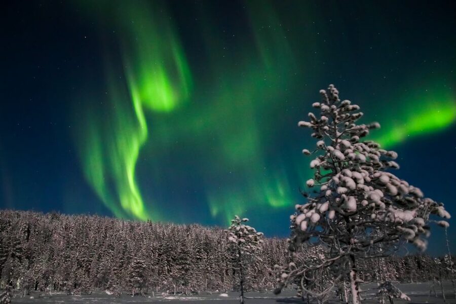 Rovaniemi: Aurora Borealis and Picnic - The Aurora Borealis Viewing Plan: Timing, Clear Sky, and Patience
