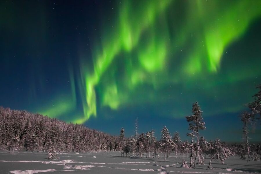 Rovaniemi: Aurora Borealis and Picnic - Group Size and Where the Fun Comes From