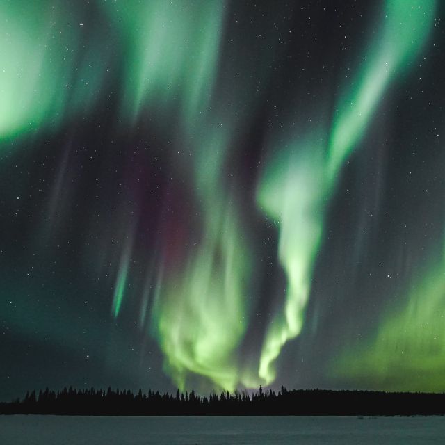 Rovaniemi: Aurora Borealis Hunting Photo Tour - Why Rovaniemi works for aurora hunting, and what this tour does differently