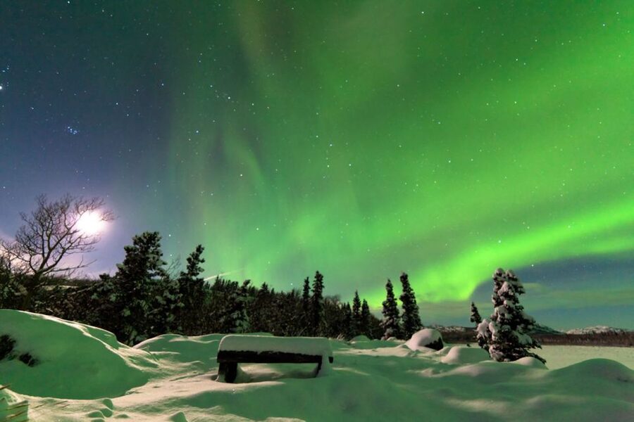 Rovaniemi: Aurora Borealis Snowmobile Safari with Campfire - What you’ll likely love most, and the one tradeoff