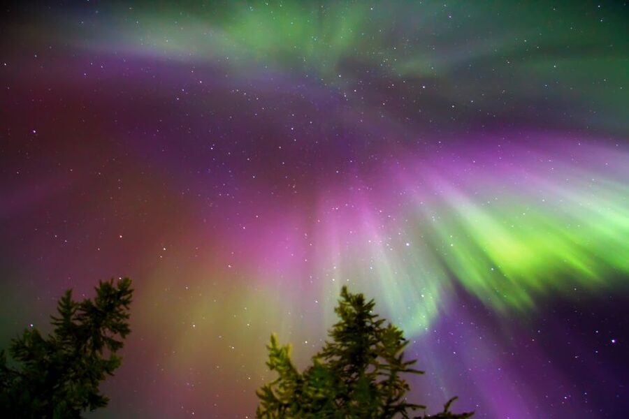 Rovaniemi: Aurora Borealis Snowmobile Safari with Campfire - Price and value: what $163 gets you, and what to watch for