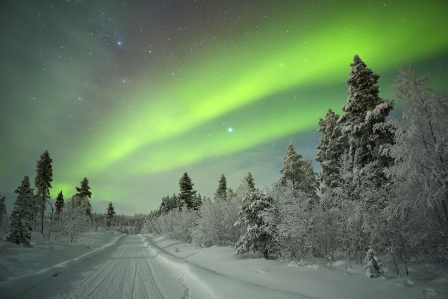 Rovaniemi: Aurora Borealis Snowmobile Safari with Campfire - Rovaniemi after dark: why this aurora safari feels different than a bus tour