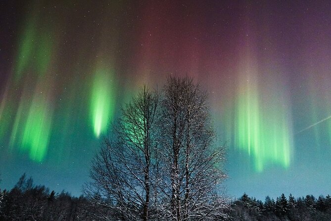 Rovaniemi: Aurora Hunt with Photograph & money back guarantee - Key Things That Make This Aurora Hunt Worth Your Time