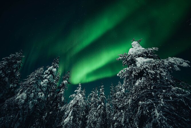 Rovaniemi: Aurora Hunt with Photograph & money back guarantee - Weather, Timing, and What You Need to Plan for
