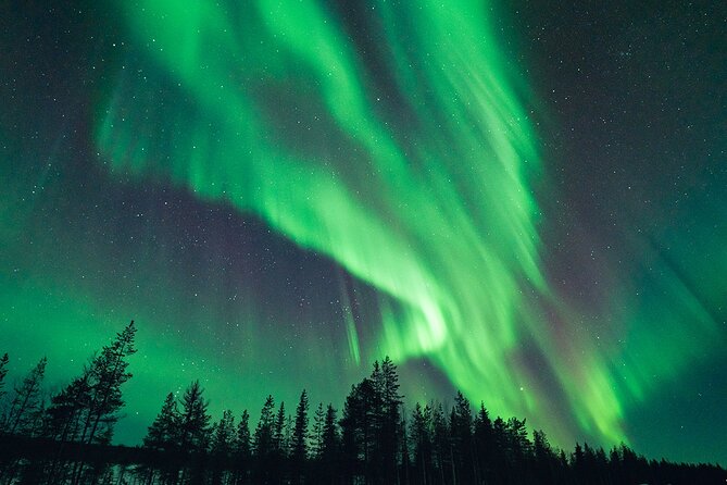 Rovaniemi: Aurora Hunt with Photograph & money back guarantee - How the Hunt Runs, From Clear-Sky Decisions to 5-8 Hour Nights
