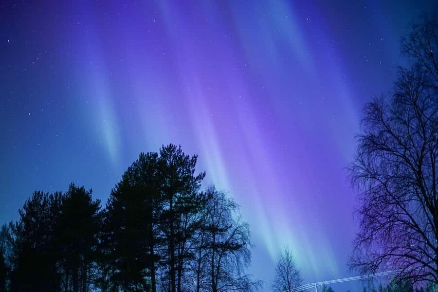 Rovaniemi: Aurora hunting and a fireside BBQ experience - Price and value at about $112 per person