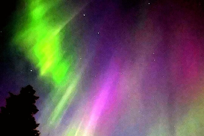 Rovaniemi: Aurora Hunting & Photography Tour - Key highlights before you go