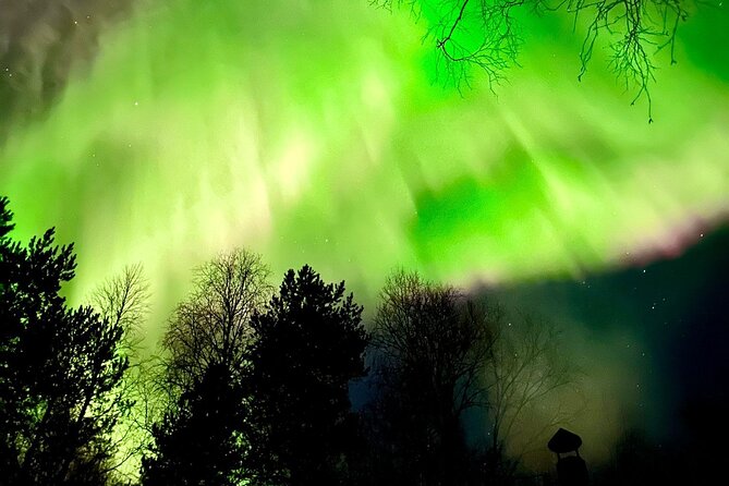 Rovaniemi: Aurora Hunting & Photography Tour - Comfort and logistics that reduce stress in the dark