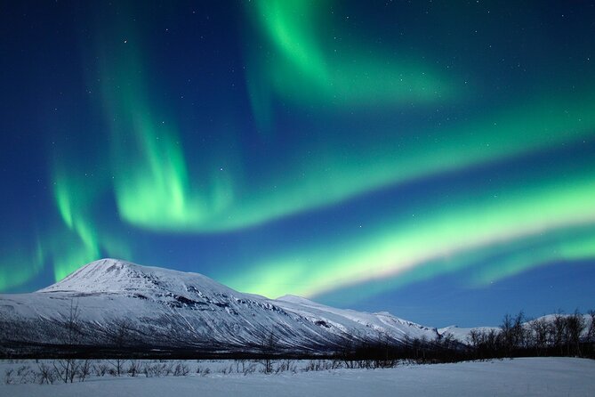 Rovaniemi Aurora Hunting Tour - Why Northern Lights Hunting Feels Different in Rovaniemi