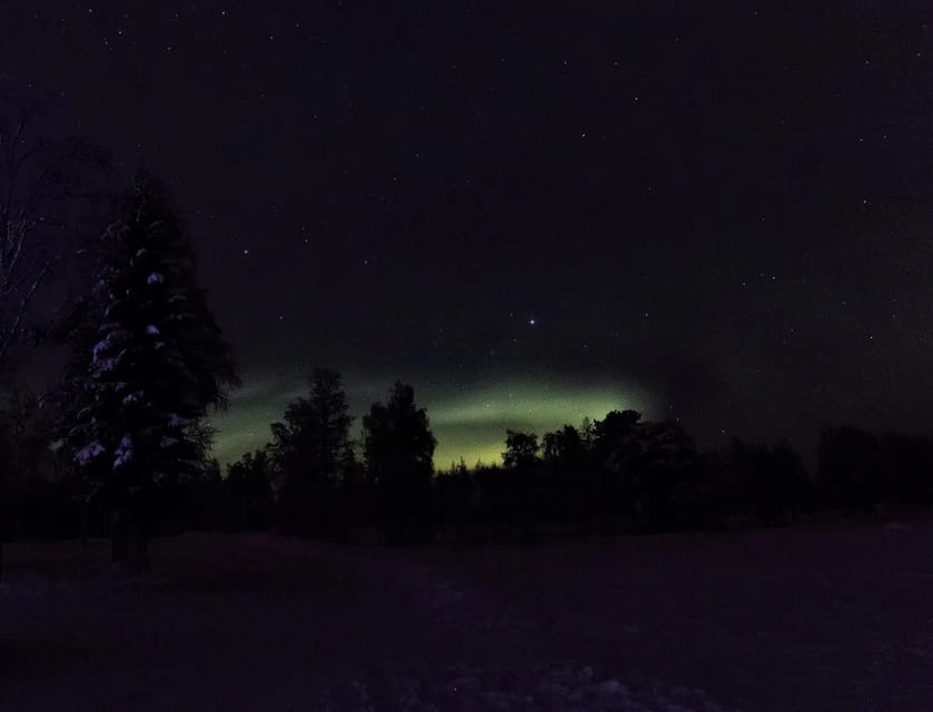 Rovaniemi: Aurora Hunting Tour in the Forest with Hot Drinks - Key things I’d plan for before you go