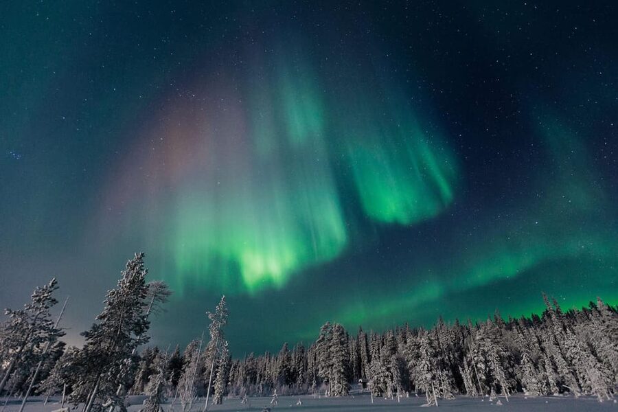 Rovaniemi: Aurora Hunting Tour in the Forest with Hot Drinks - Aurora hunting in the Rovaniemi forest, with warm drinks and real winter gear