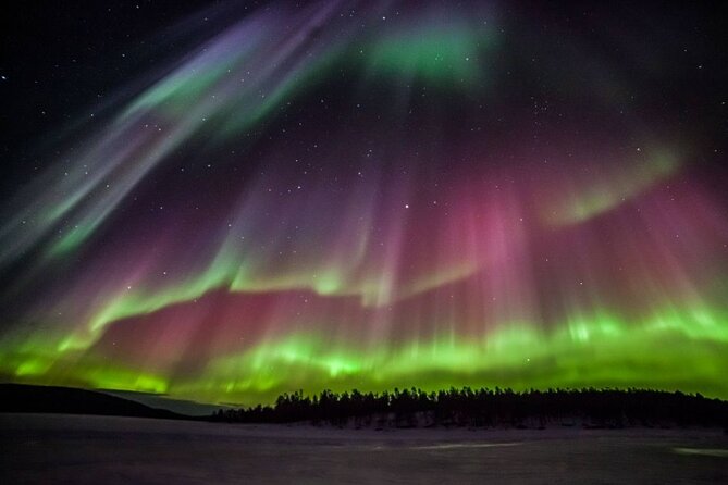 Rovaniemi Aurora Hunting Tour - Pickup and Timing: How You Avoid Wasted Night Hours