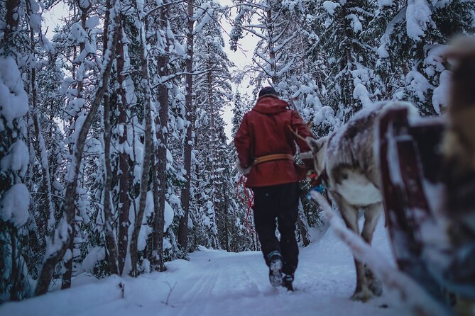 Rovaniemi: Authentic Lapland Reindeer Farm Visit & Sled Ride - The Traditional Sled Ride: Great If You Love the Moment, Not If You Want Long Circuits
