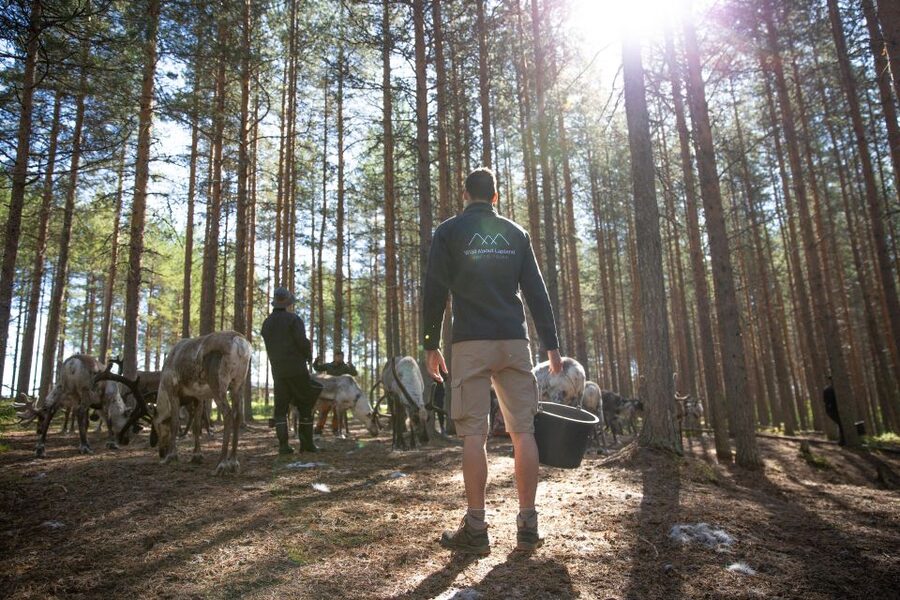 Rovaniemi: Authentic Reindeer Farm & Canoeing - How the price adds up for this kind of day