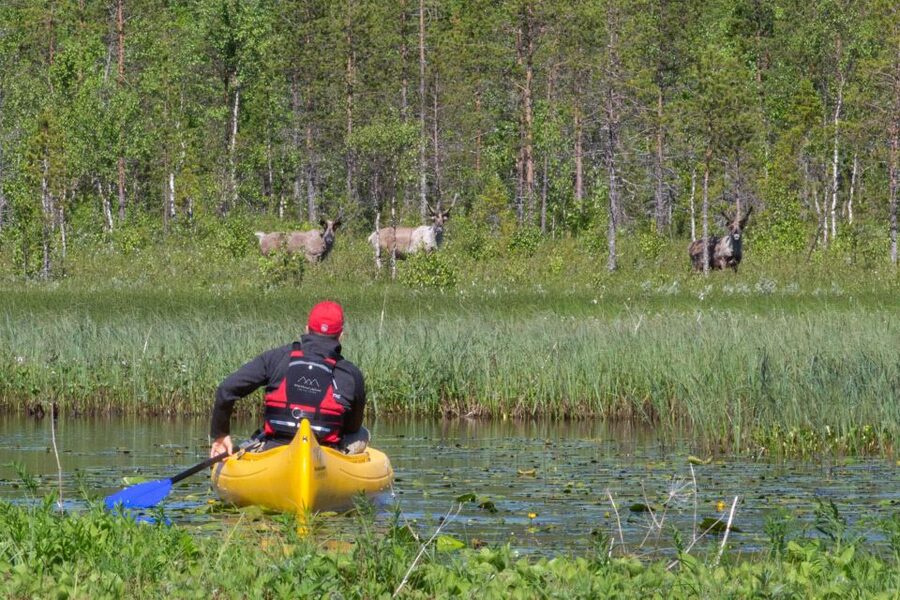 Rovaniemi: Authentic Reindeer Farm & Canoeing - Reindeer Farm Meets Lake Canoes: the core idea