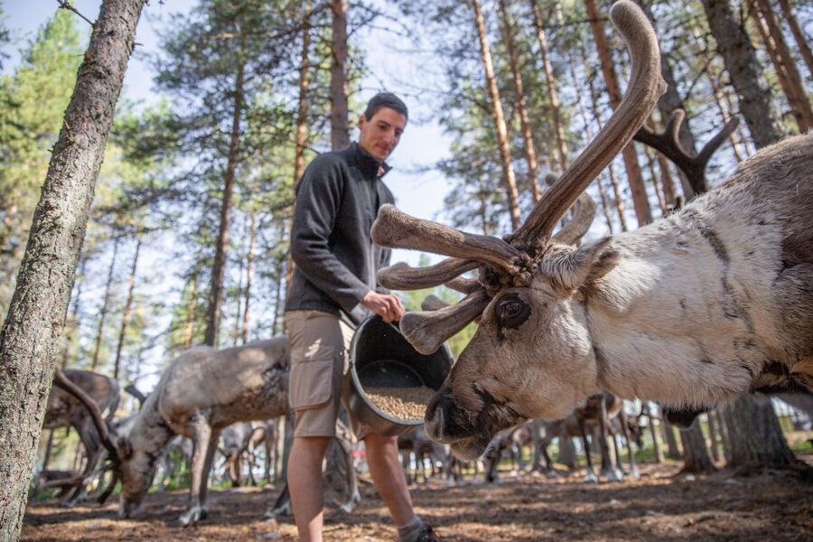 Rovaniemi: Authentic Reindeer Farm & Canoeing - Meet the herders, not just the animals