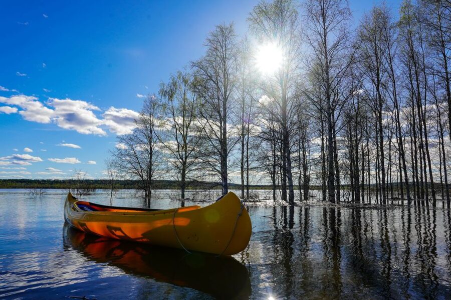 Rovaniemi: Authentic Reindeer Farm & Canoeing - Weather realities: how the tour handles cold and safety