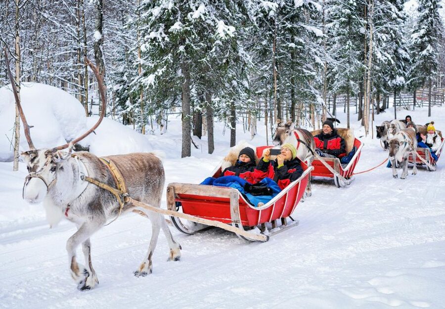 Rovaniemi: Authentic Reindeer Farm Visit & Short Sleigh Ride - The 400 m Sleigh Ride, and Why Snow Conditions Change Everything