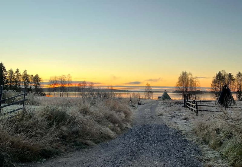 Rovaniemi: Autumn Husky Ride on Wheels - Guiding the training carriage, your job on the ride